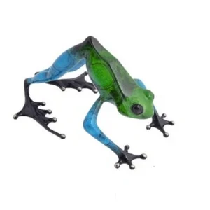 Namaste Frogman - Tim Cotterill