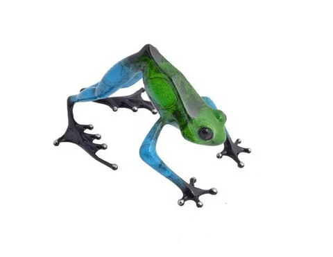 Namaste Frogman - Tim Cotterill