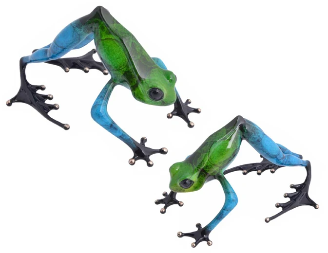 Namaste Frogman - Tim Cotterill