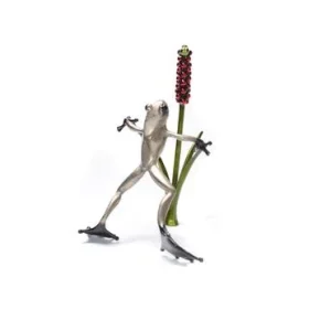 Señores y damas Frogman - Tim Cotterill