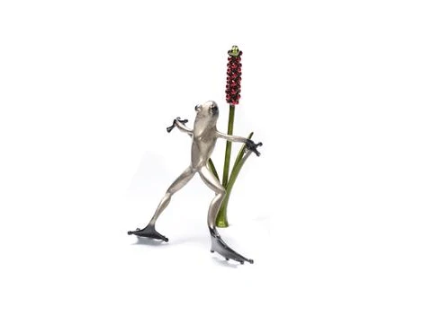 Señores y damas Frogman - Tim Cotterill