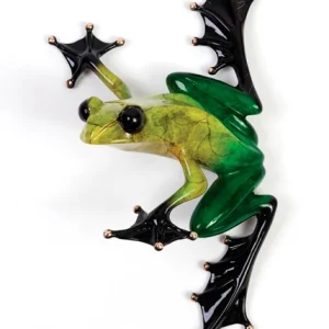 Soltar Frogman - Tim Cotterill