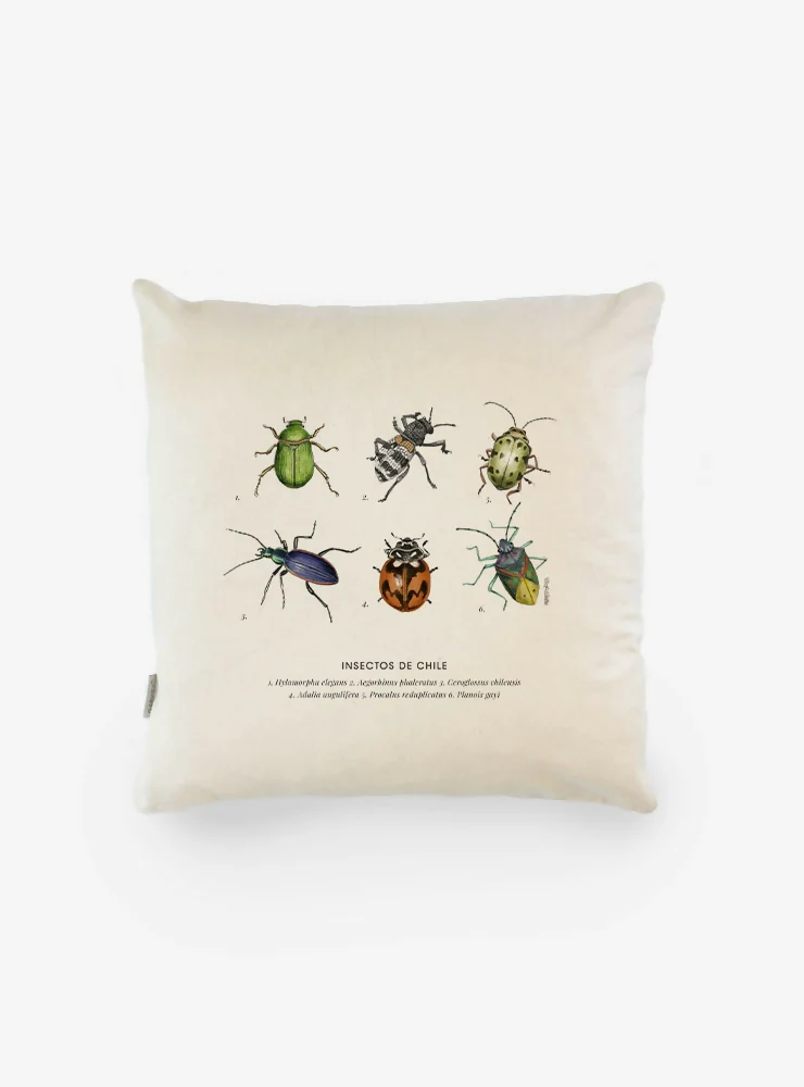 FUNDA COJÍN INSECTOS GARUGA