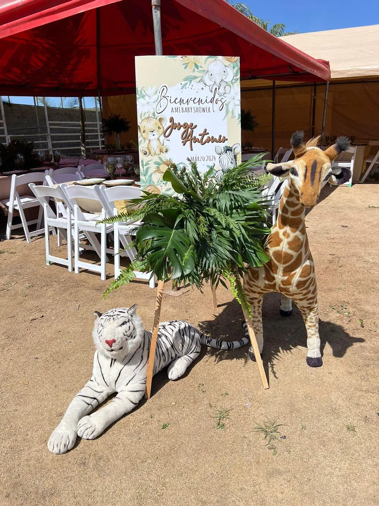 Backdrop Animalitos - Safari Gift Box Inc