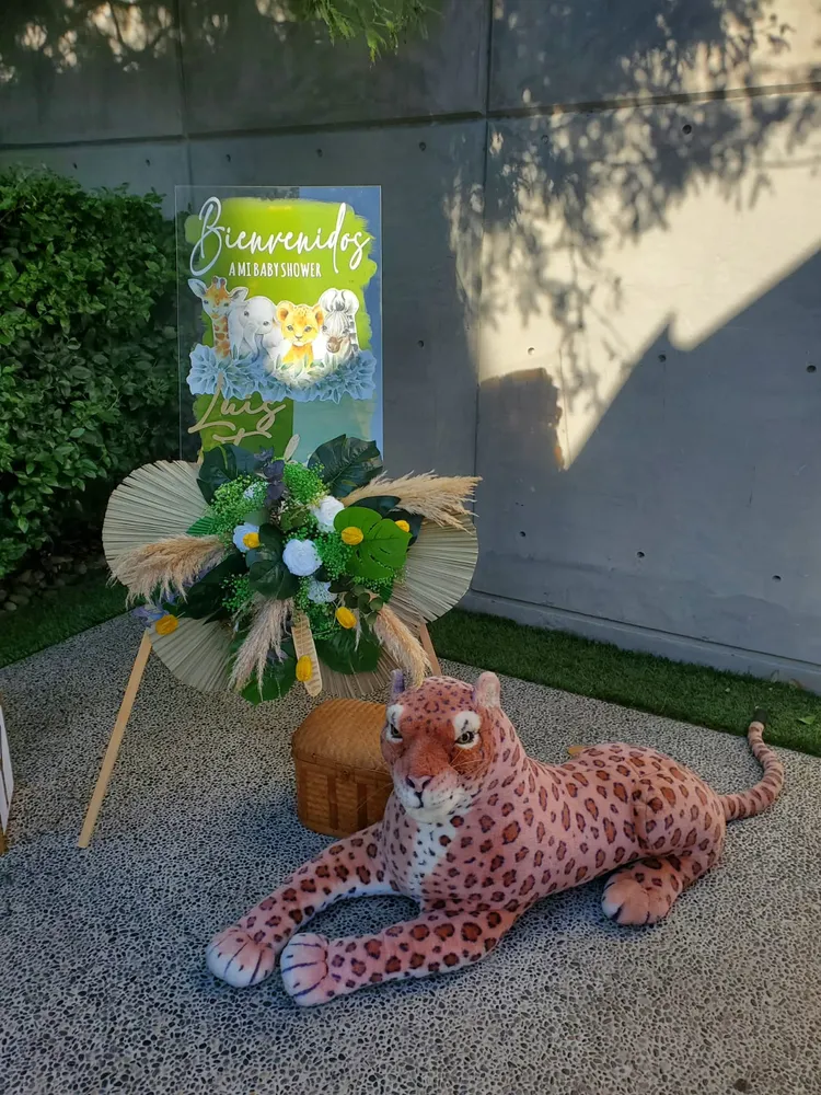 BackDrop - Oh Baby Safari Gift Box Inc