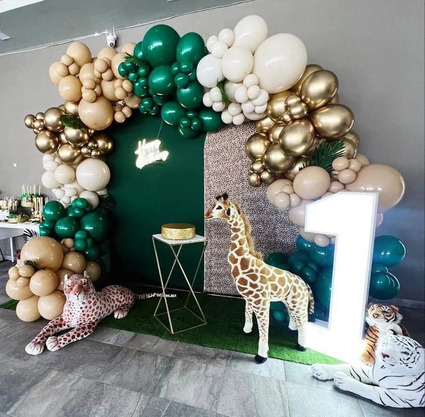 Backdrop Safari Gift Box Inc