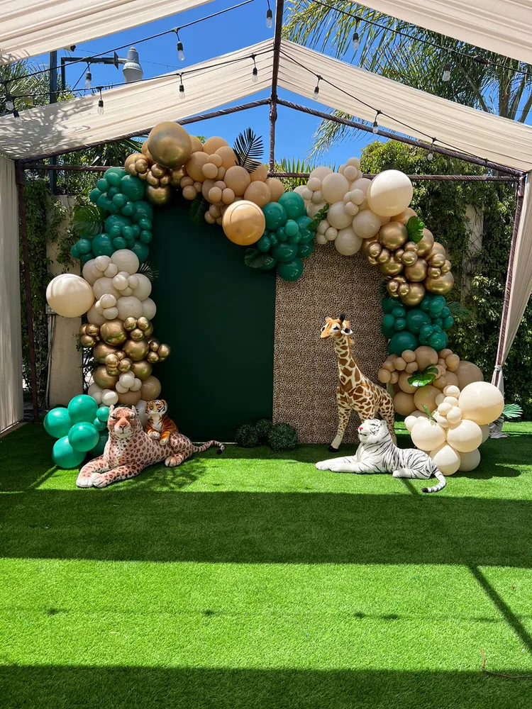 Backdrop Safari Gift Box Inc