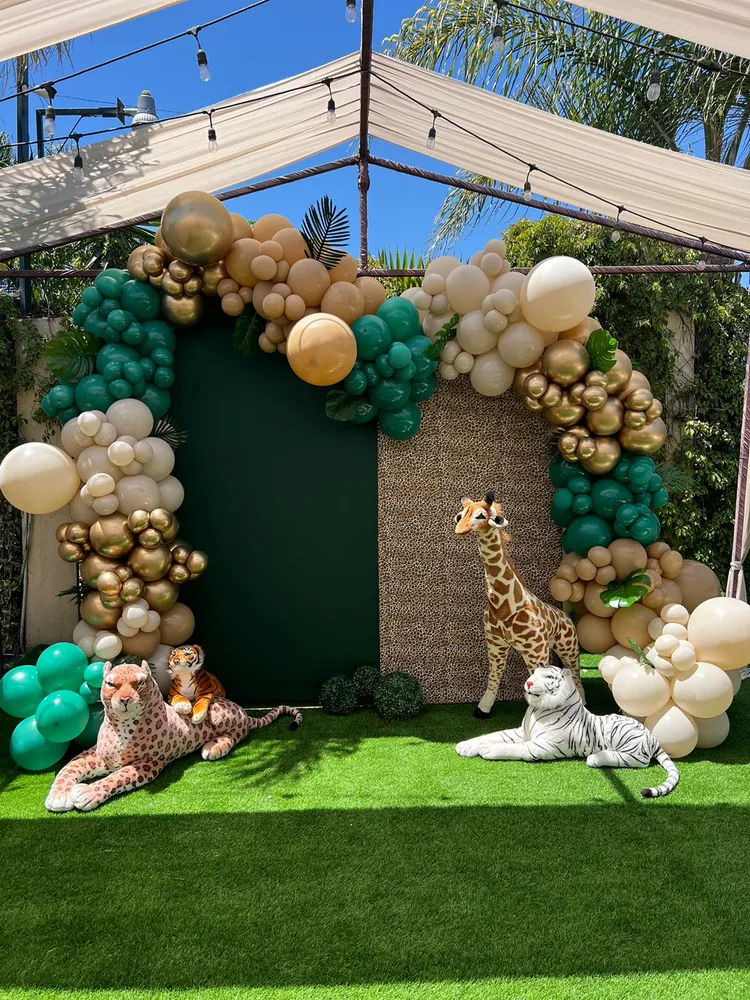 Backdrop Safari Gift Box Inc
