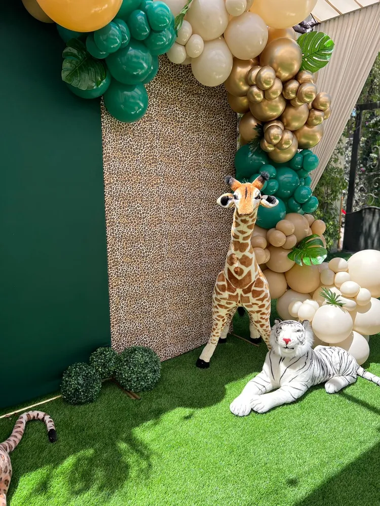 Backdrop Safari Gift Box Inc
