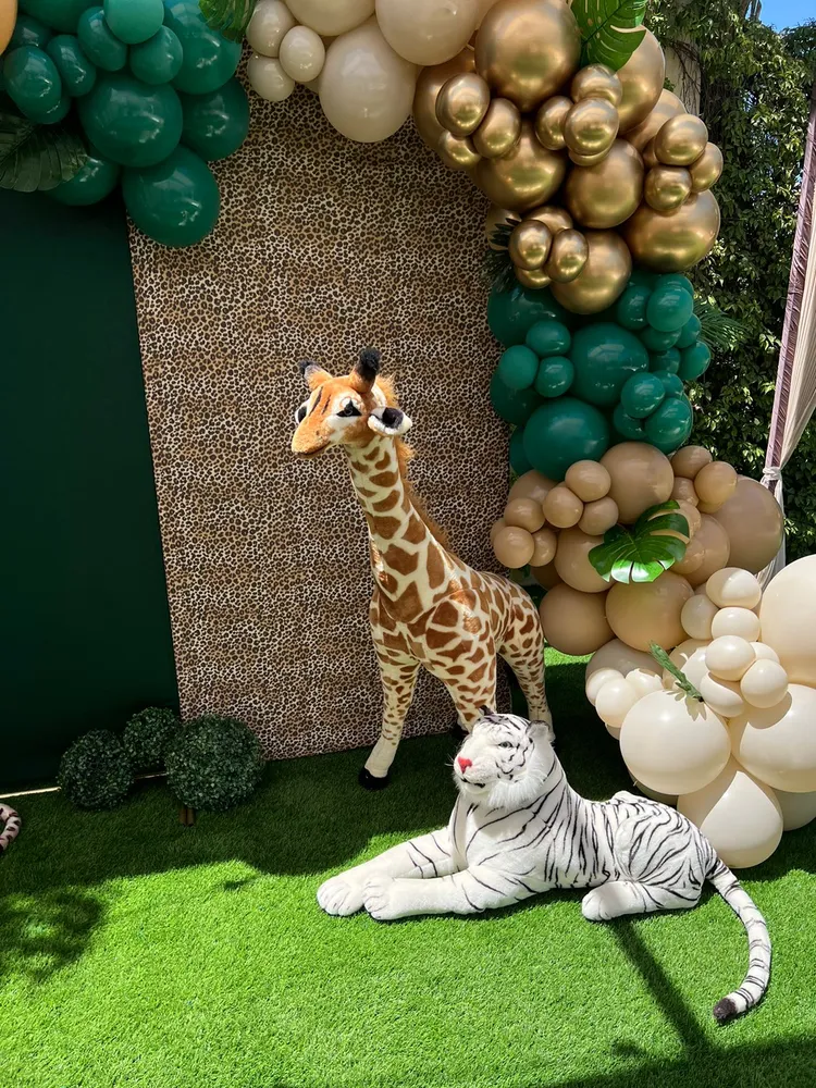 Backdrop Safari Gift Box Inc