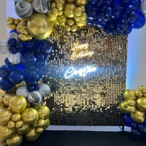 BackDrop Shimmer Happy B-day Gift Box Inc