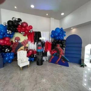 BackDrop Spiderman Gift Box Inc