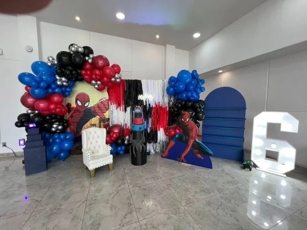 BackDrop Spiderman Gift Box Inc