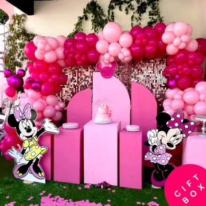 Minnie Mouse Pink Gift Box Inc