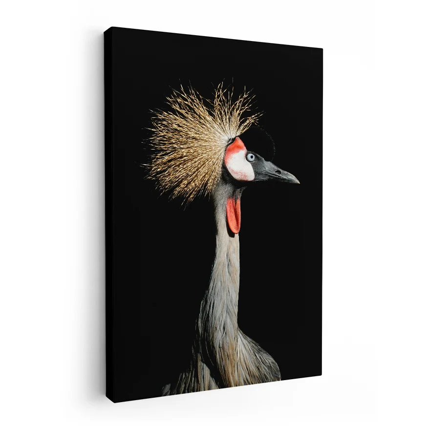 Grulla Coronada Poster