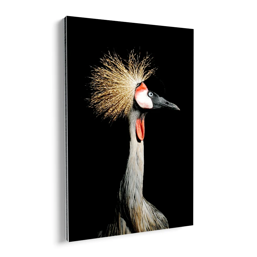 Grulla Coronada Poster