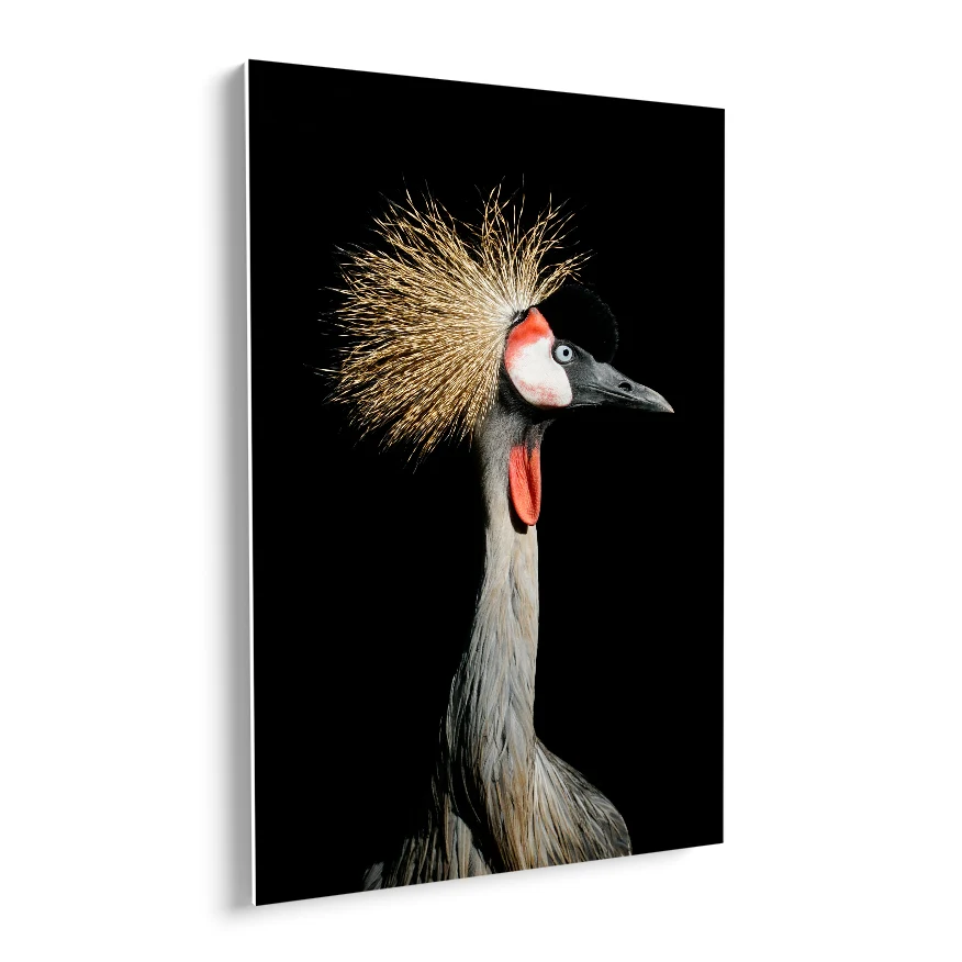 Grulla Coronada Poster