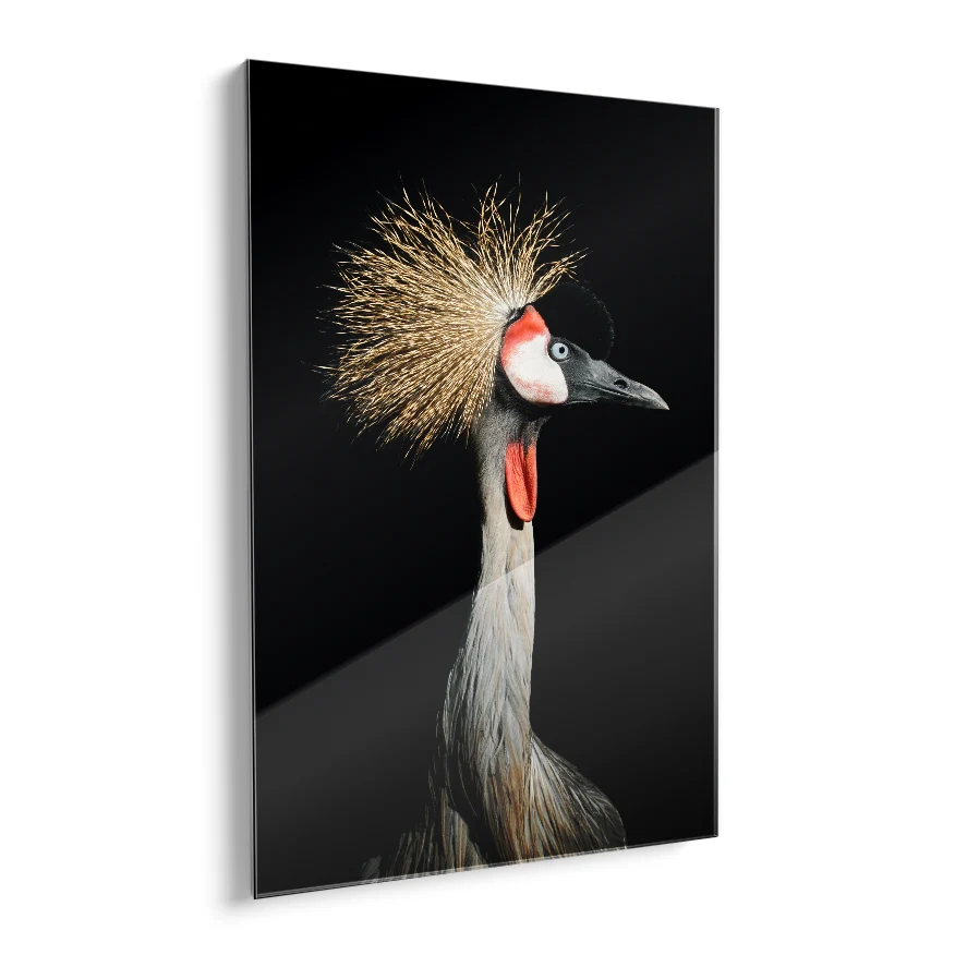 Grulla Coronada Poster