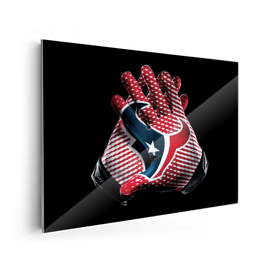 Guantes Houston Texans Poster