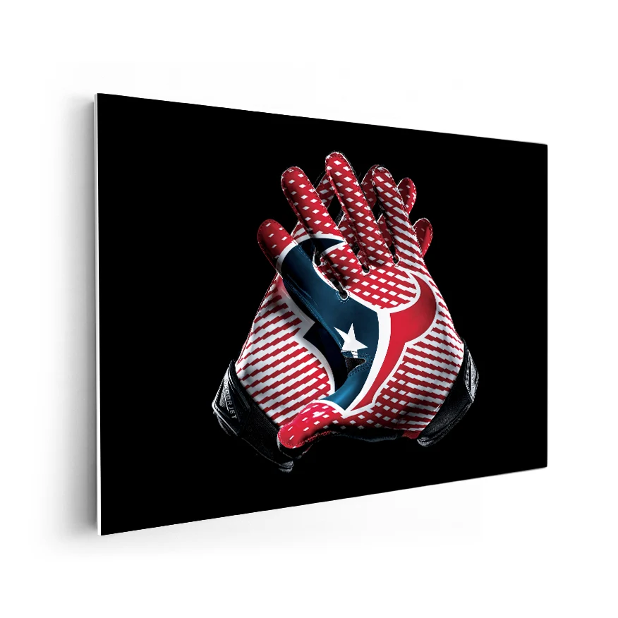 Guantes Houston Texans Poster