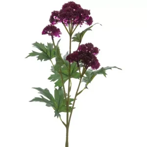 HB BERRY STEM