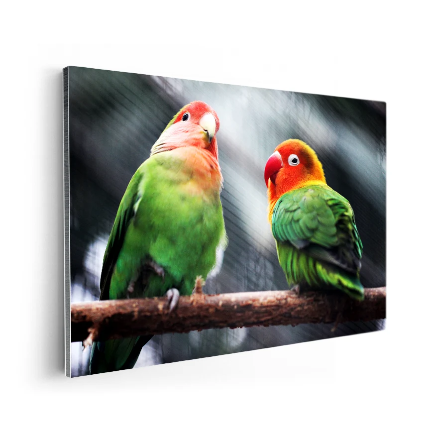 Inseparable de Namibia Poster