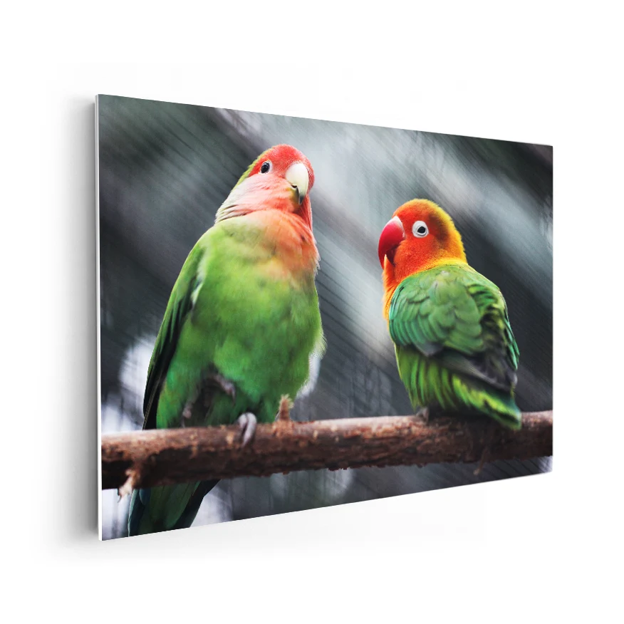 Inseparable de Namibia Poster