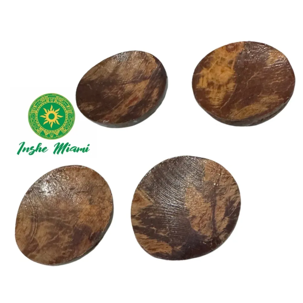 Chamalongos (4 Cocos) INSHE MIAMI