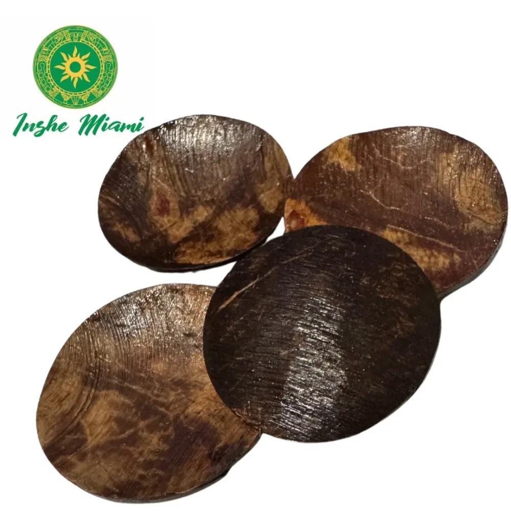 Chamalongos (4 Cocos) INSHE MIAMI