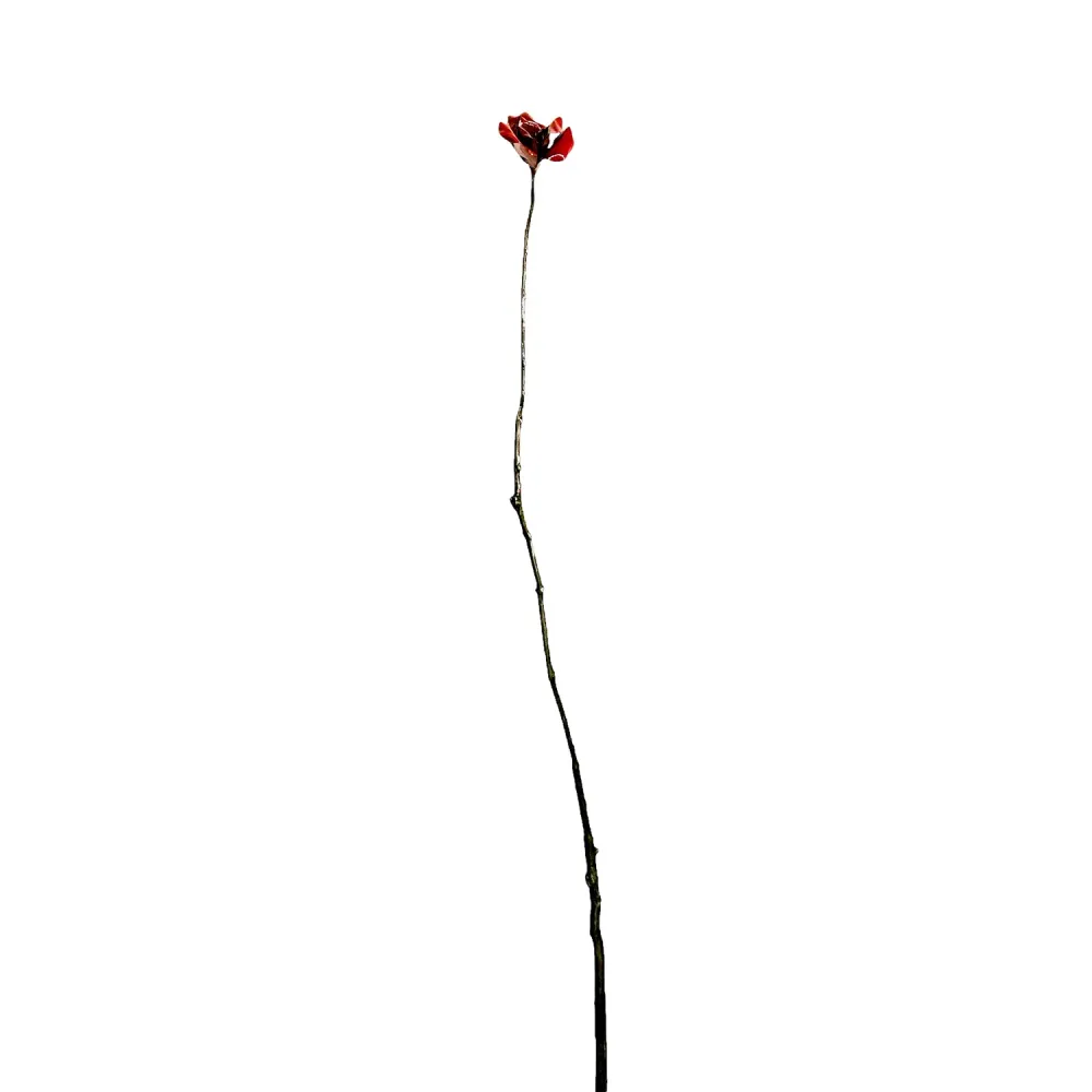 Bosques durmientes XXXII Jeff Alarie