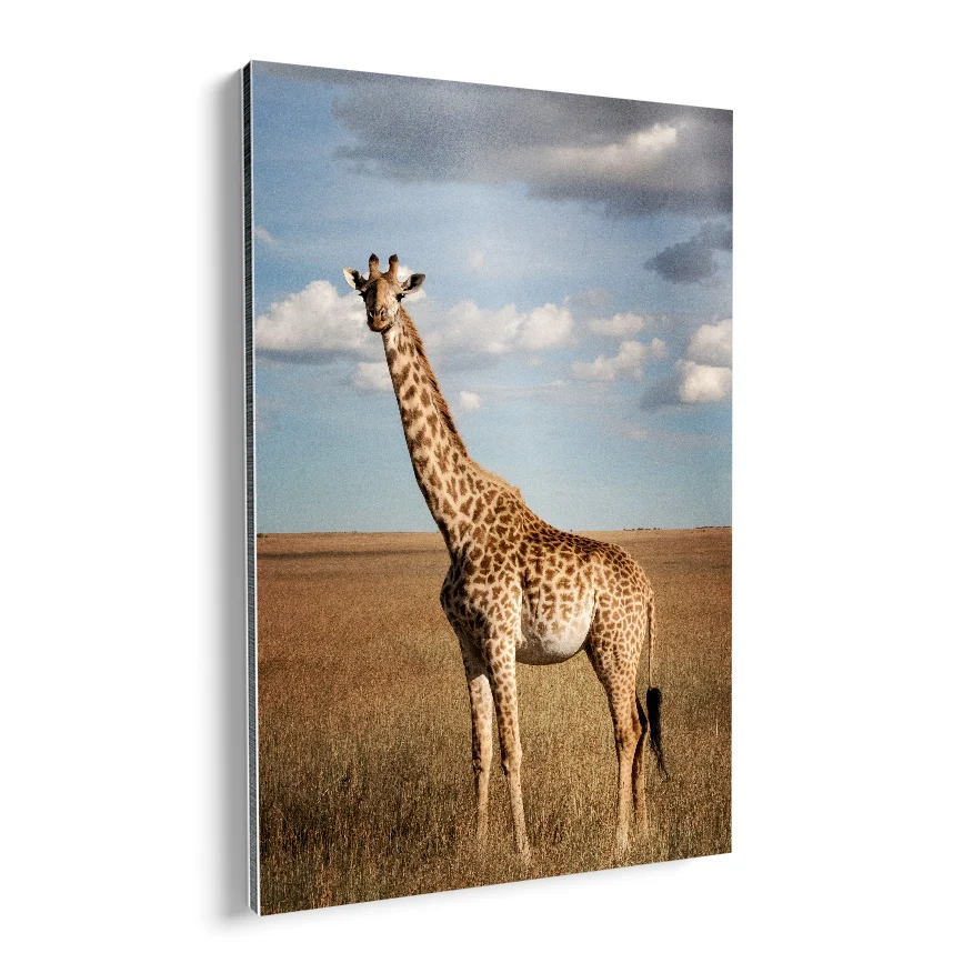 Jirafa en la Sabana Poster