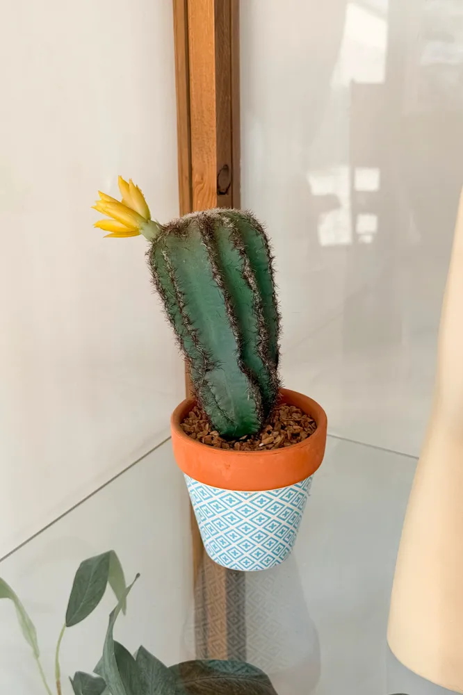 Mini Cactus Flor Amarilla Mediano La Batea deco