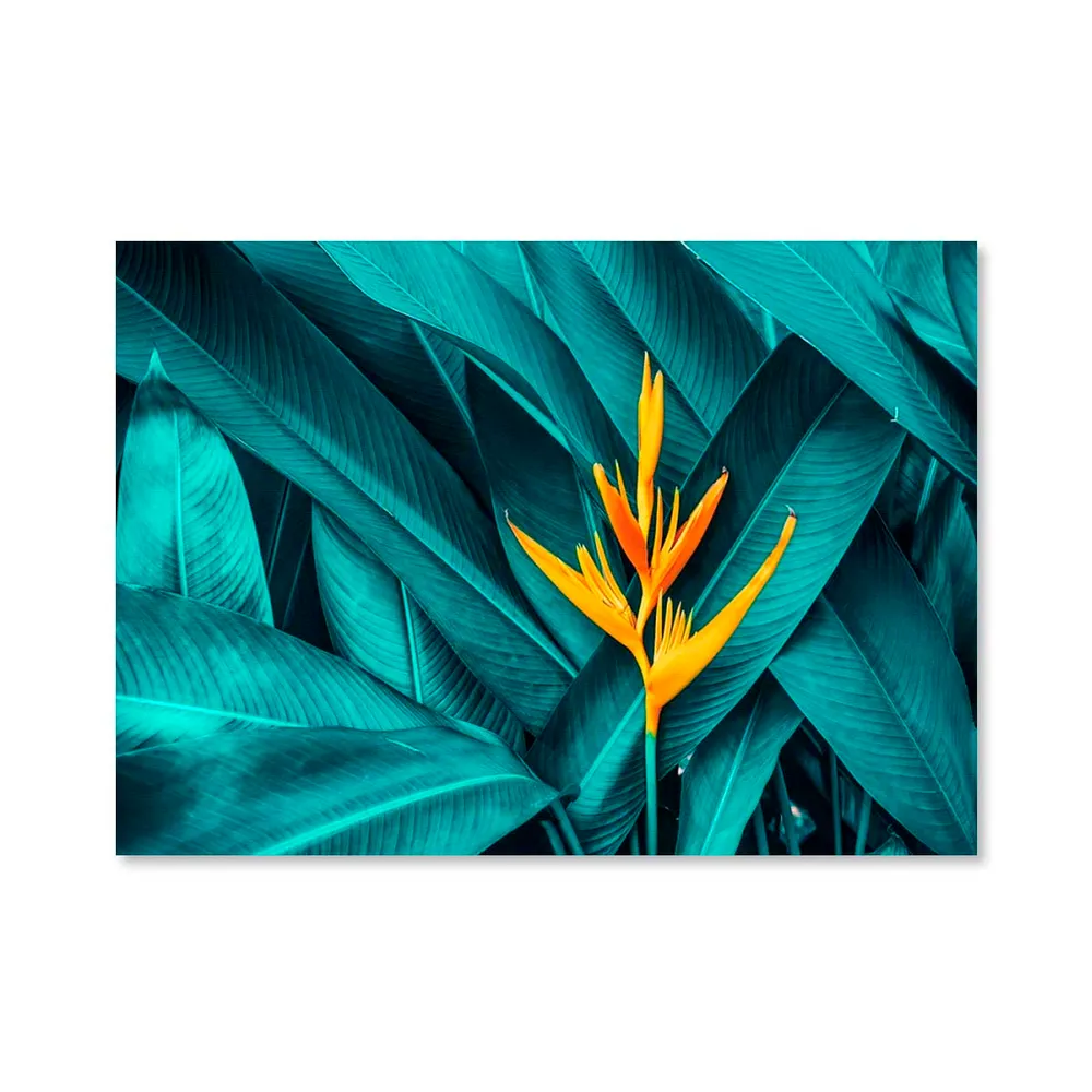 Cuadro canvas multicolor Multicolor LA GALERIA