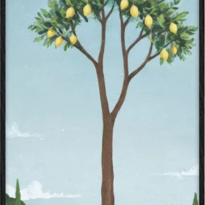 Citrus Sea Landsture