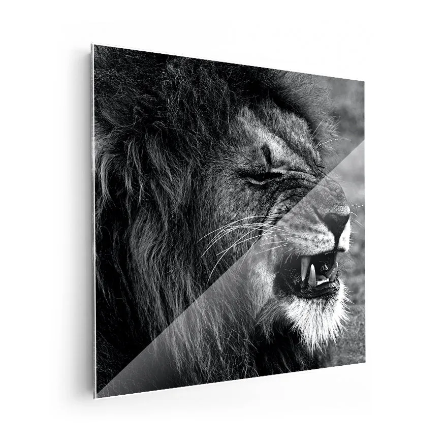 León Gruñendo Poster