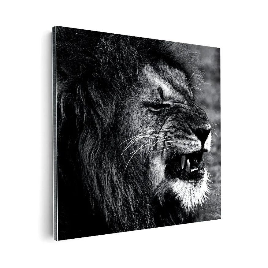 León Gruñendo Poster