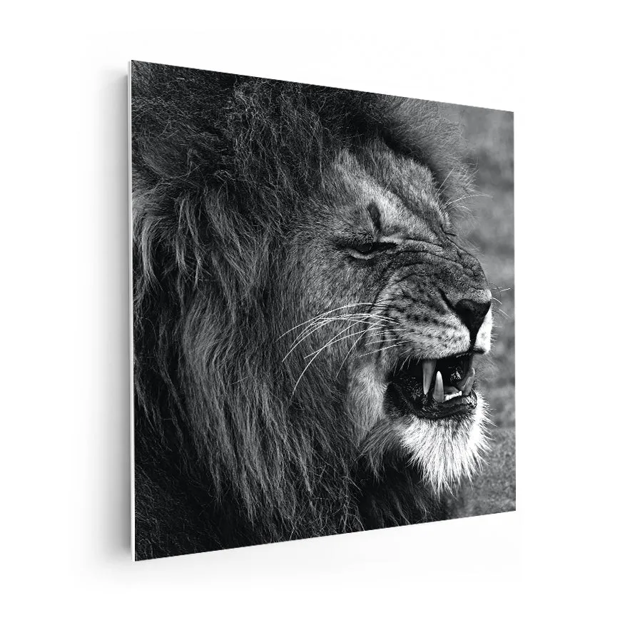 León Gruñendo Poster
