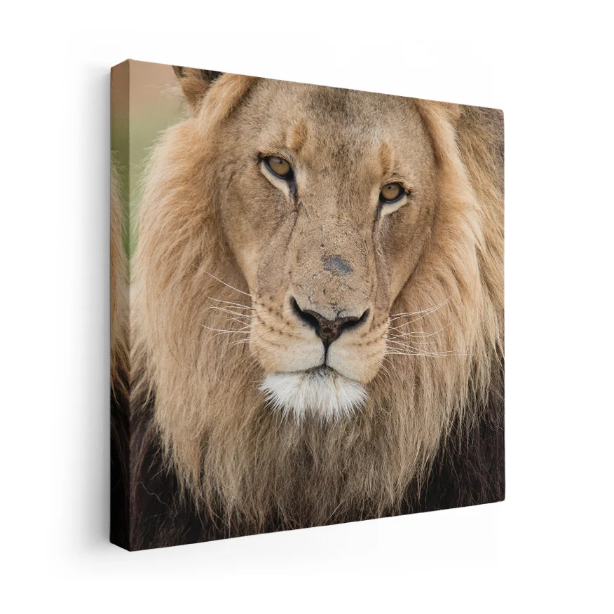 León Poster