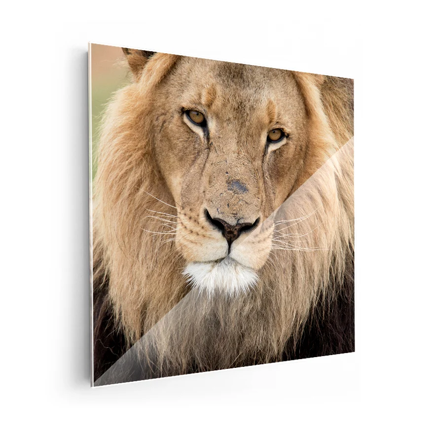 León Poster