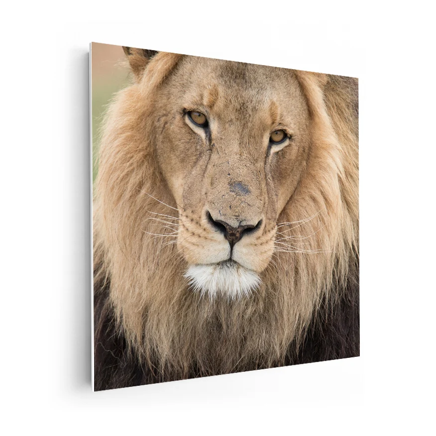 León Poster
