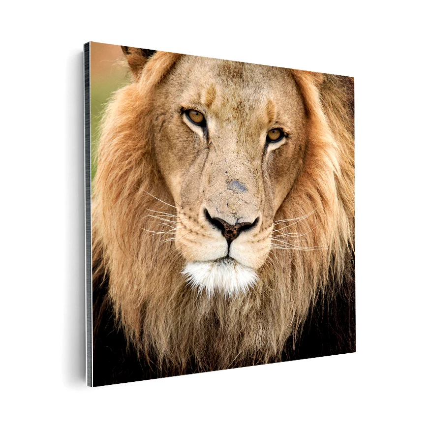 León Poster