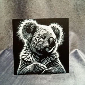 Lámina koala