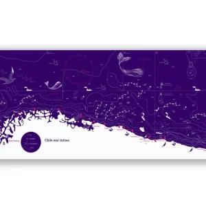 Mapa Mar Íntimo - Lámina MAPPIN