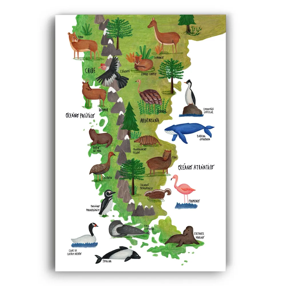 Patagonia Ilustrada - Lámina MAPPIN