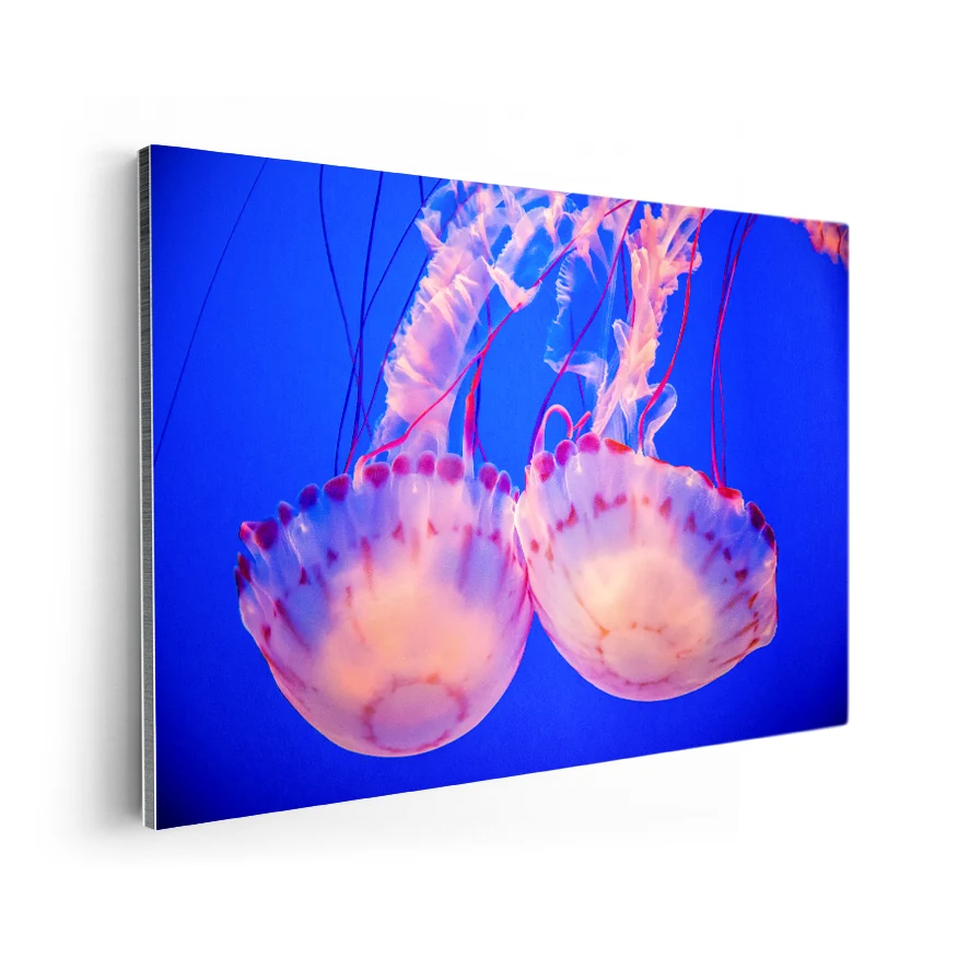 Medusas Poster