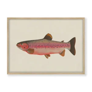 Fishy Merel Takken