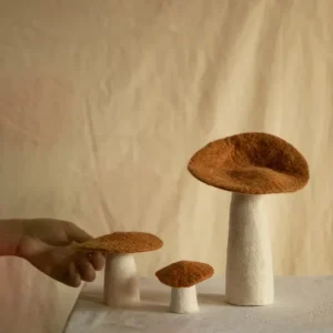 Champiñones - Caramelo MUSKHANE