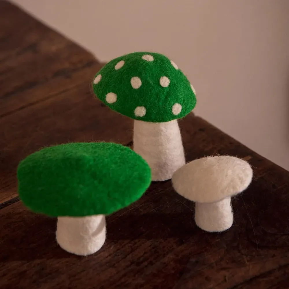 Dotty - Clorofila MUSKHANE