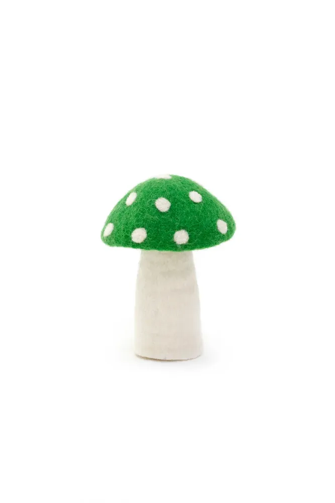 Dotty - Clorofila MUSKHANE