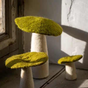 Hongos - ís MUSKHANE